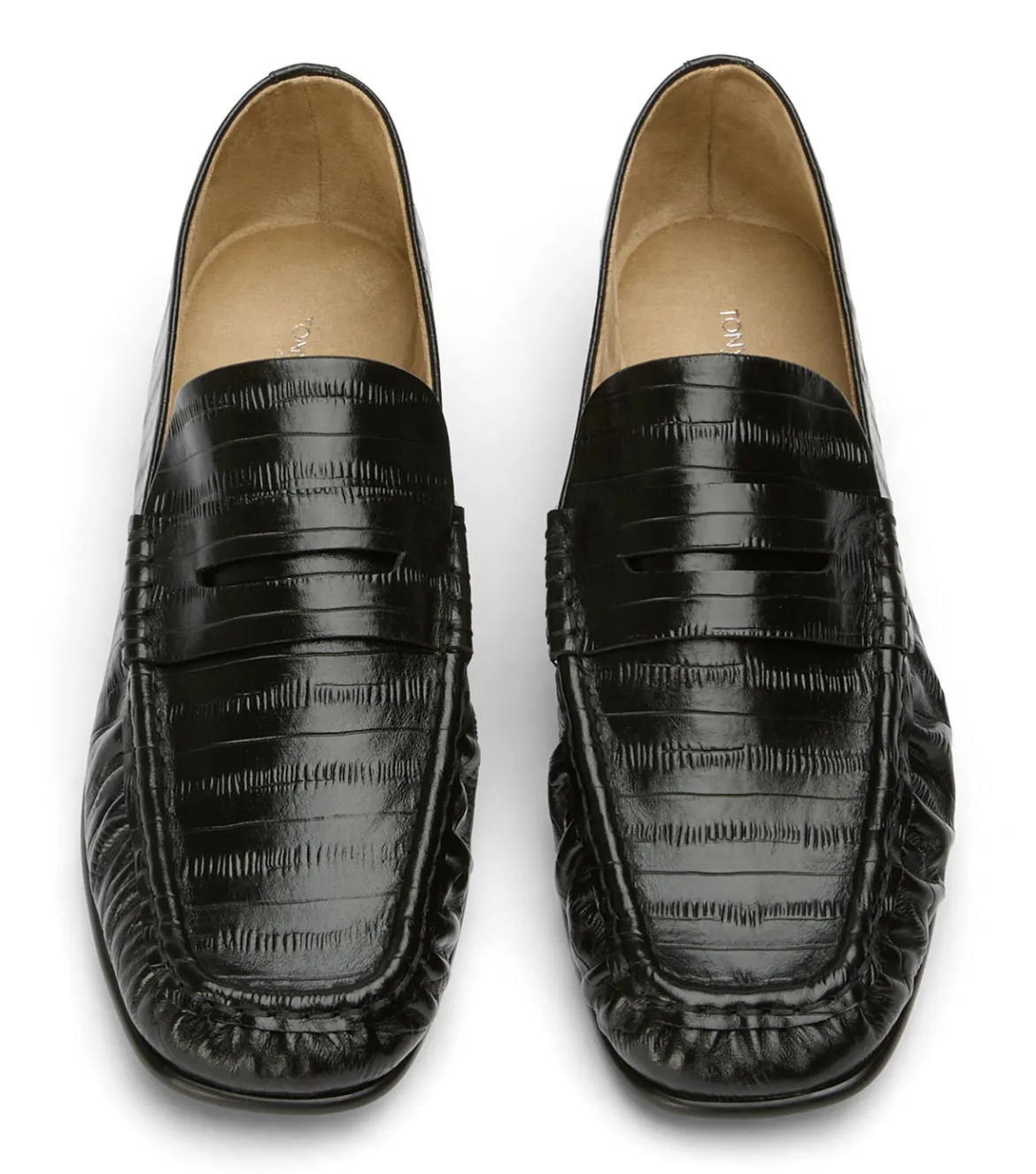 Gomez Black Anguille
